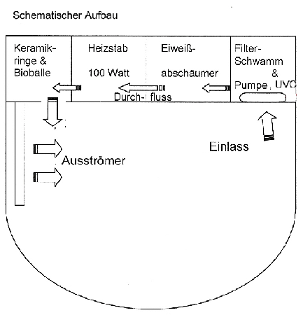 Die Skizze zeigt den technischen Aufbau sowie die Strömung der Filtereinheit an.